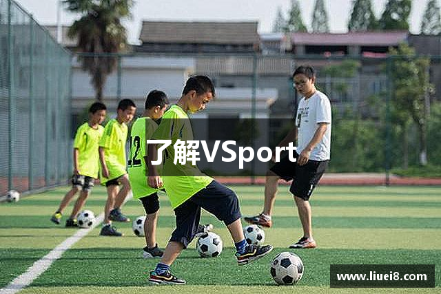 了解VSport